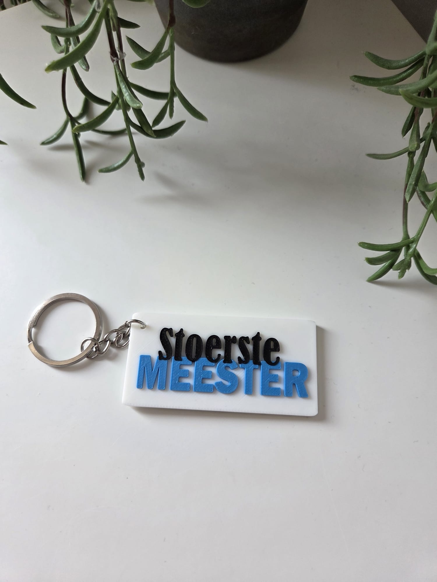 Sleutelhanger Stoerste Meester met video of afbeelding